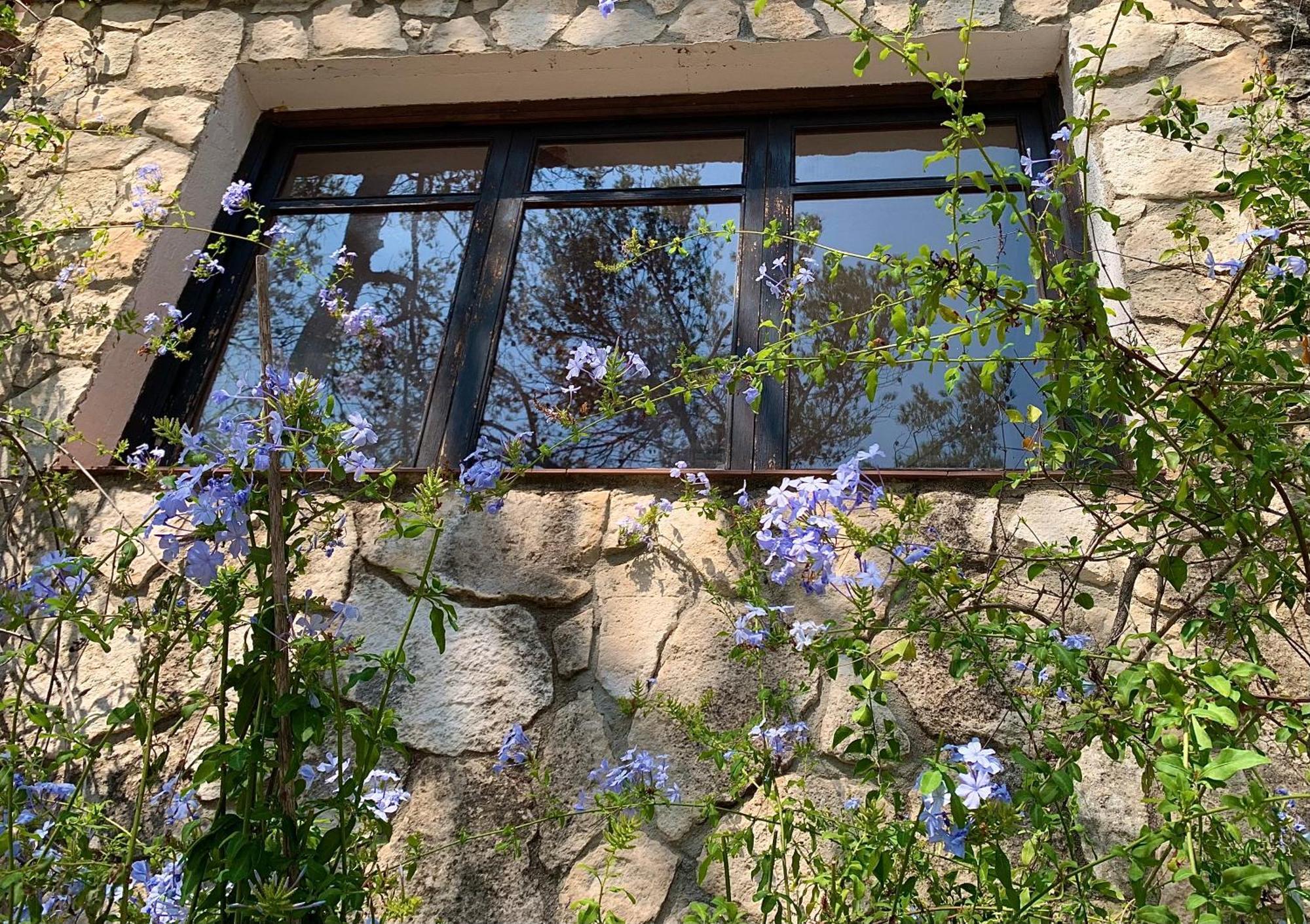Apartamento La Casita Del Bosque Sant Pere De Ribes Exterior foto